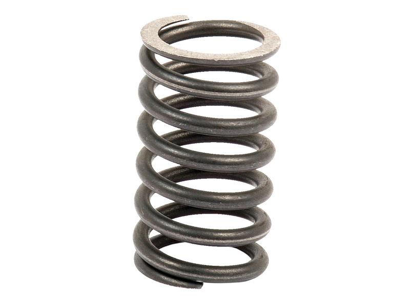 Sparex S.66028 Valve Spring Outer Lindstrom Equipment